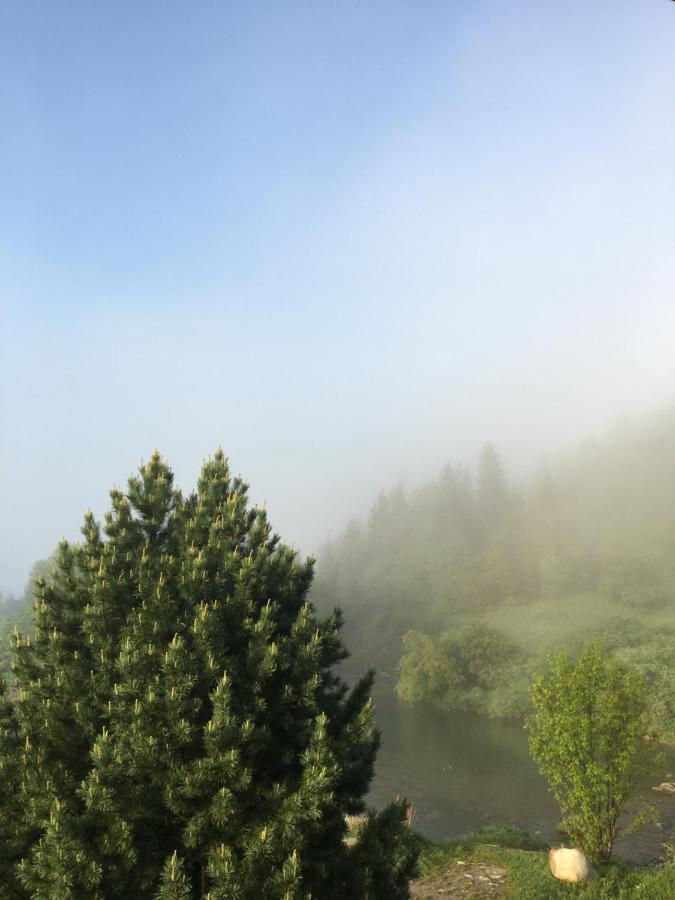 Riverside Habovka Bagian luar foto